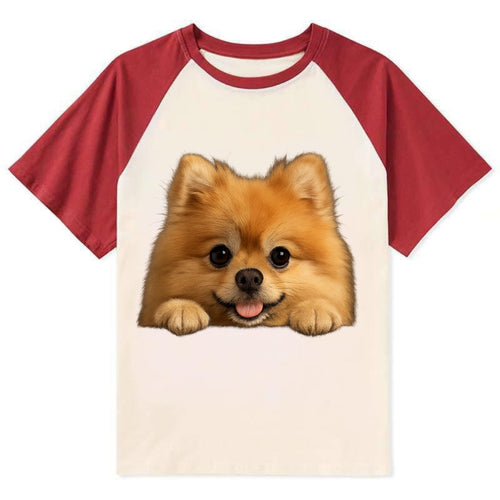 Pomeranian  - Contrast Raglan T-shirt
