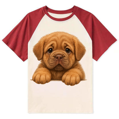 Neapolitan Mastiff  - Contrast Raglan T-shirt - Red
