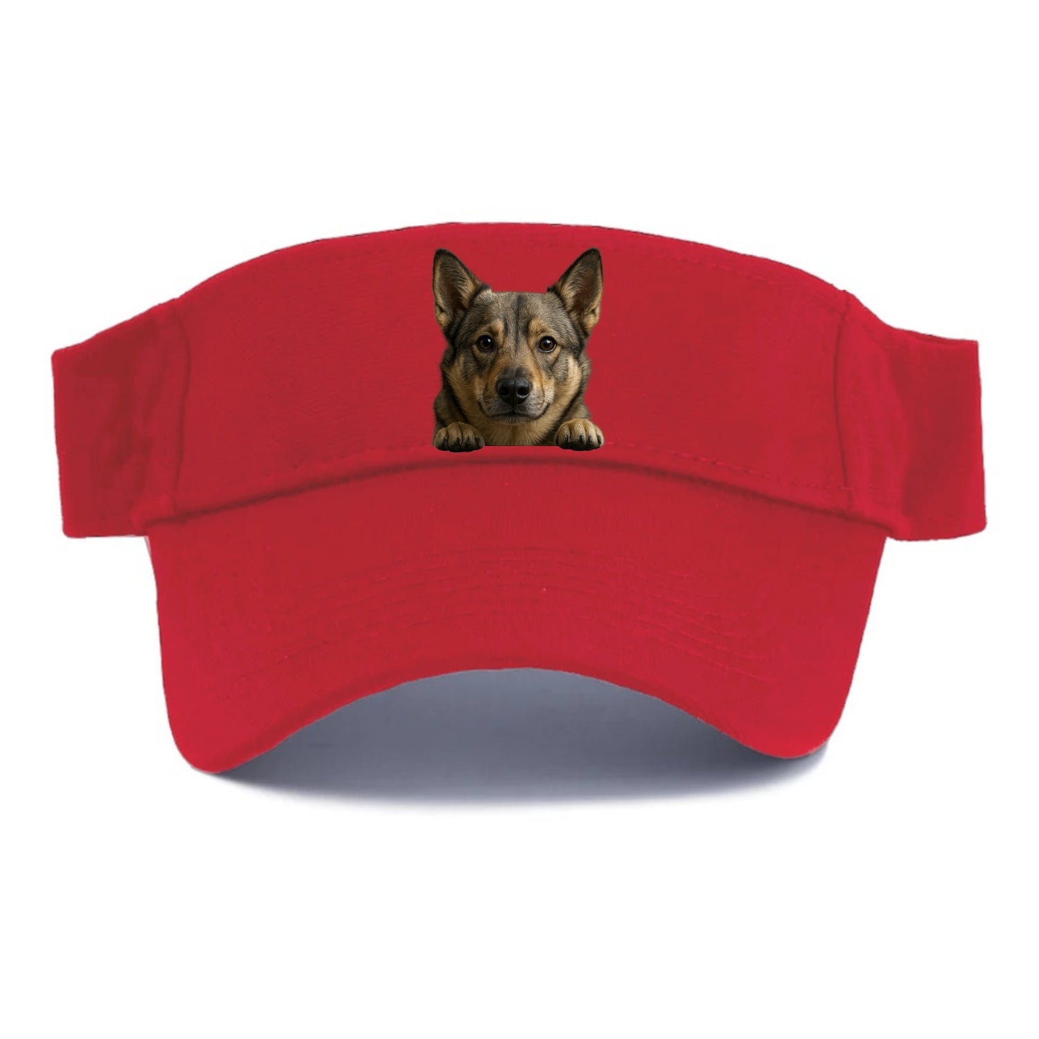 Swedish Vallhund  - Visor - Red