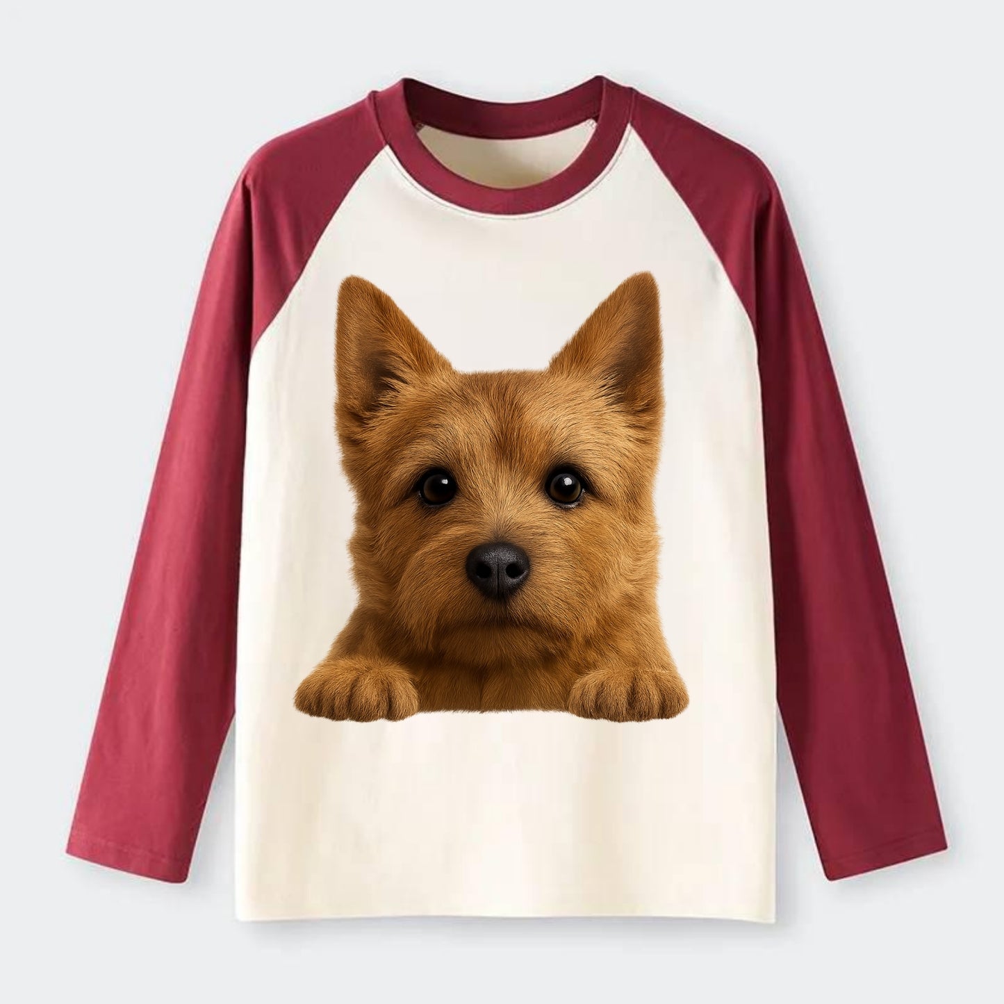 Norwich Terrier  - Raglan Long Sleeve T-Shirt - Red