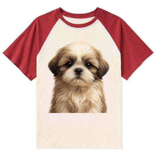 Baby Shih Tzu Puppy - long flowing coat, flat face, big dark eyes, - Contrast Raglan T-shirt - Red
