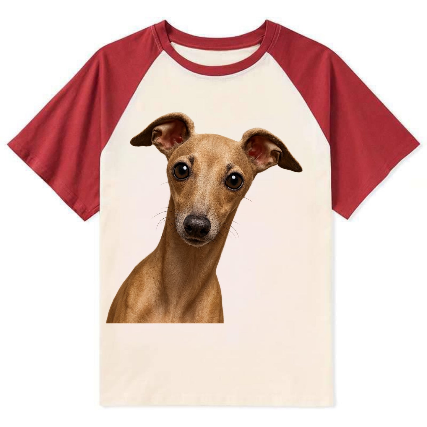 Italian Greyhound  - Contrast Raglan T-shirt - Red