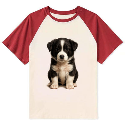 Baby Border Collie Puppy - black and white, intense smart eyes, athletic - Contrast Raglan T-shirt - Red