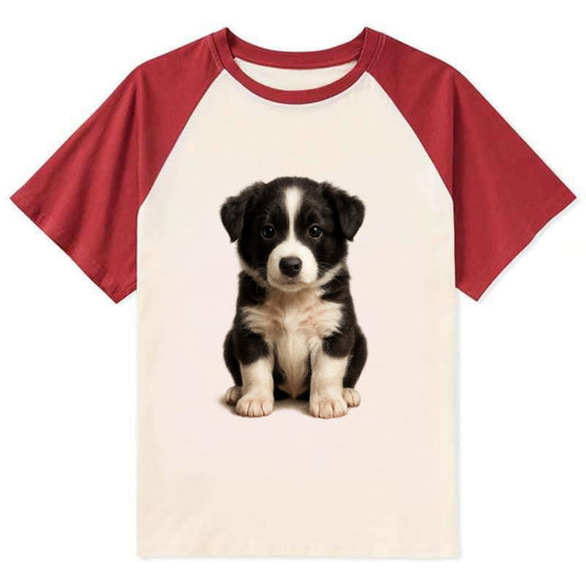Baby Border Collie Puppy - black and white, intense smart eyes, athletic - Contrast Raglan T-shirt - Red