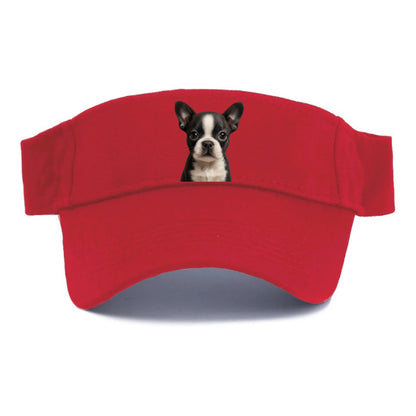 Baby Boston Terrier Puppy - tuxedo markings, big round eyes, bat ears, front-facing, - Visor - Red