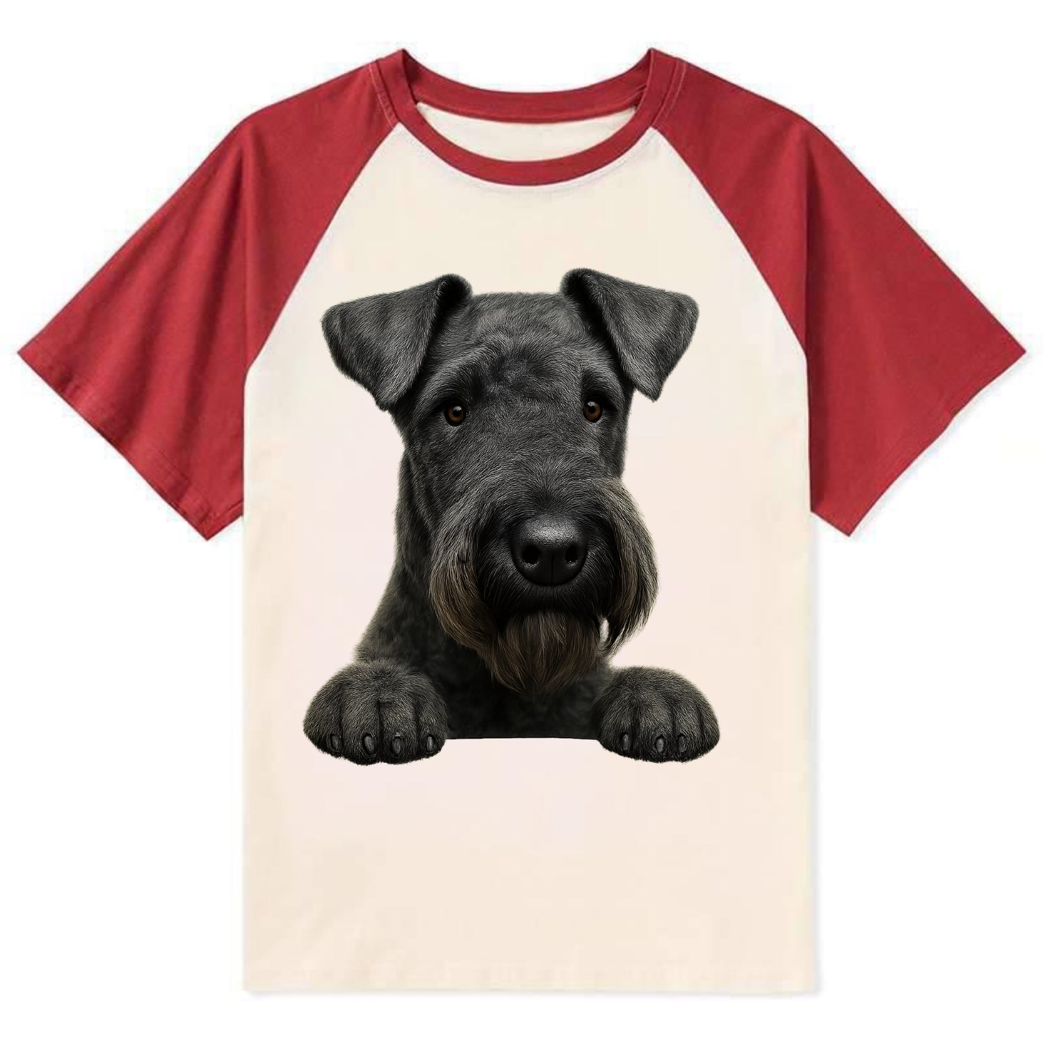 Kerry Blue Terrier  - Contrast Raglan T-shirt - Red