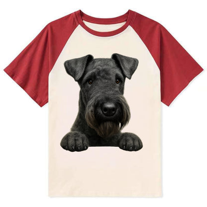 Kerry Blue Terrier  - Contrast Raglan T-shirt - Red
