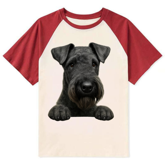 Kerry Blue Terrier  - Contrast Raglan T-shirt - Red