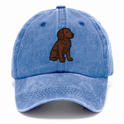 Boykin Spaniel - Rich chocolate brown wavy coat embroidered sitting pose - Classic Cap - Summer Sky(Blue)