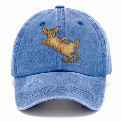 Oriental Shorthair  fully relaxed sprawl Classic Cap - Summer Sky(Blue)