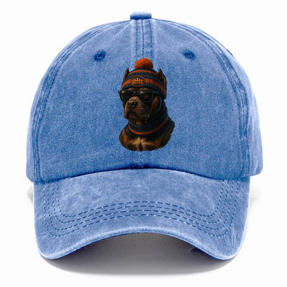 Chicago Pitbull wearing Bears beanie with skyline patch and wayfarer sunglasses - Classic Cap - Summer Sky(Blue)