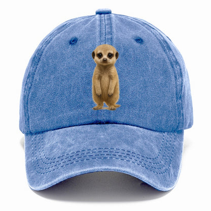 Baby Meerkat - tan fur, dark eye patches, alert stance, bright eyes, front-facing, - Classic Cap - Summer Sky(Blue)