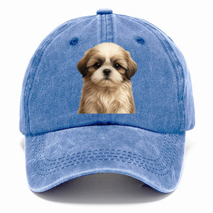 Baby Shih Tzu Puppy - long flowing coat, flat face, big dark eyes, front-facing, - Classic Cap - Summer Sky(Blue)
