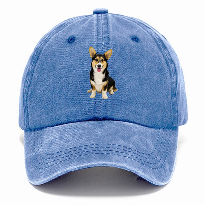 Tricolor Corgi - Classic Cap - Summer Sky(Blue)