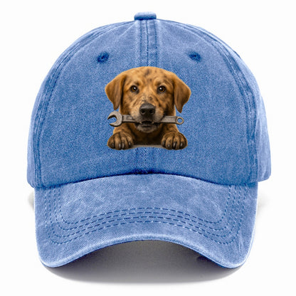 Mechanic Dog  - Classic Cap - Summer Sky(Blue)