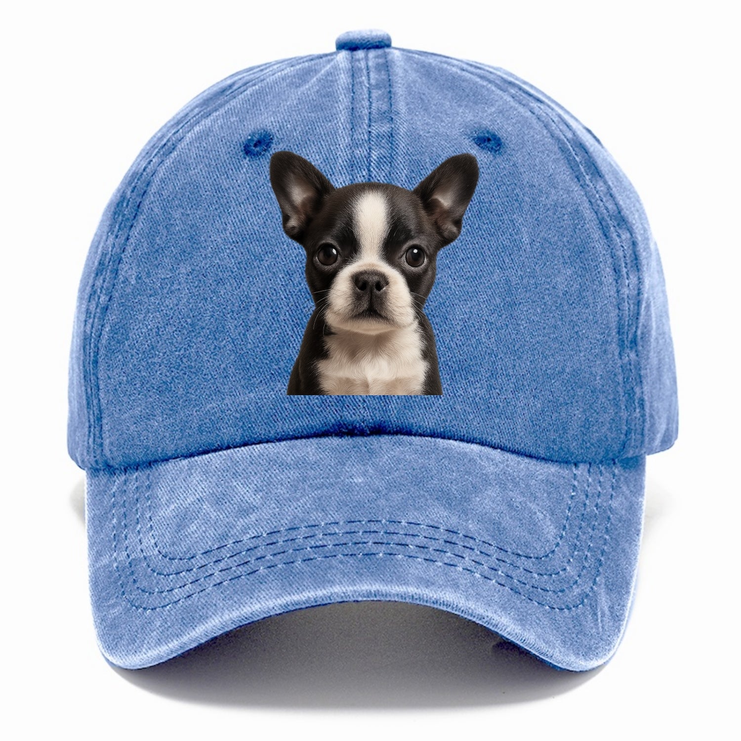 Baby Boston Terrier Puppy - tuxedo markings, big round eyes, bat ears, front-facing, - Classic Cap - Summer Sky(Blue)