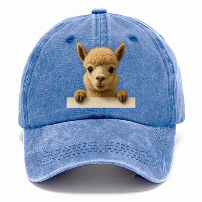 Alpaca  - Classic Cap - Summer Sky(Blue)