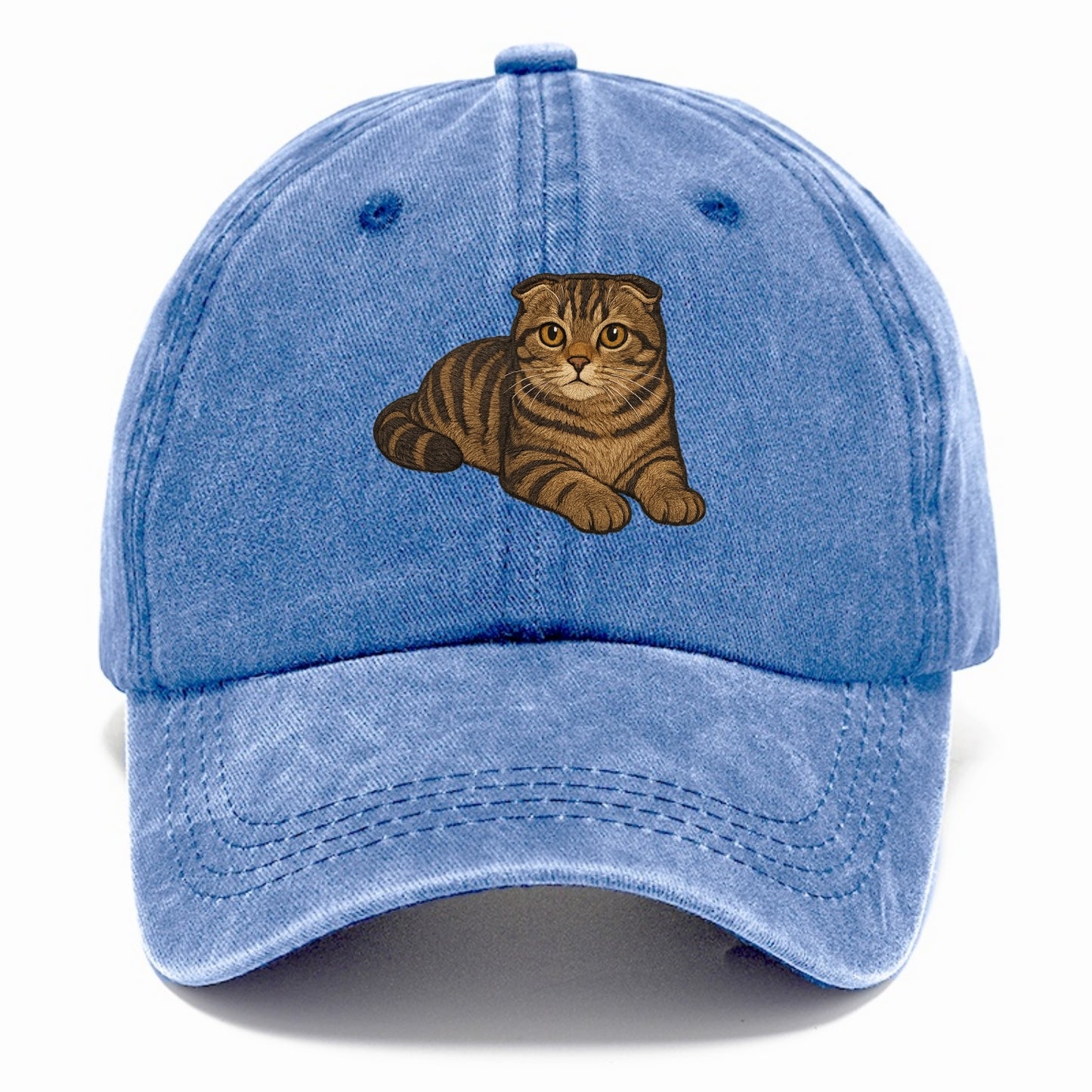 Scottish Fold  relaxed lying down with h Classic Cap - Summer Sky(Blue)