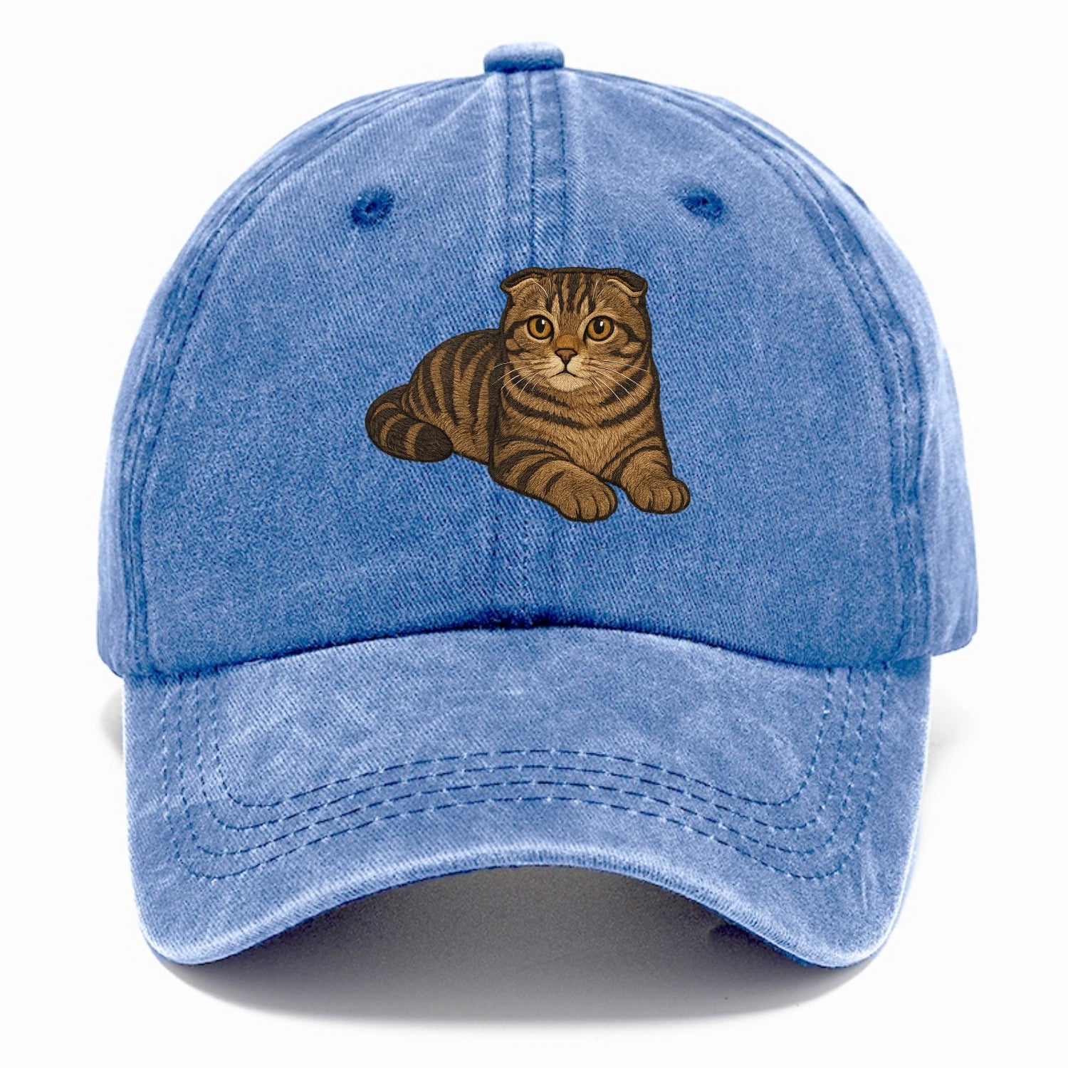 Scottish Fold  relaxed lying down with h Classic Cap - Summer Sky(Blue)