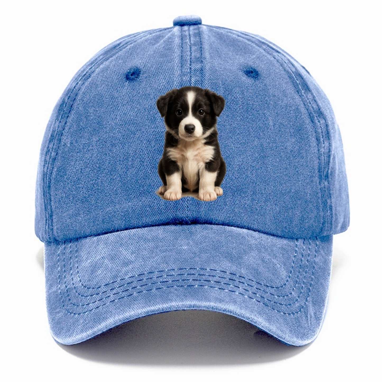 Baby Border Collie Puppy - black and white, intense smart eyes, athletic build, - Classic Cap - Summer Sky(Blue)