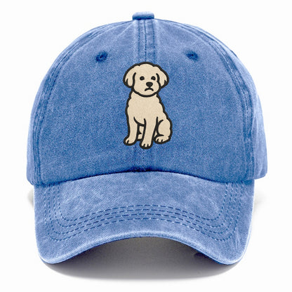 Maltipoo - White curly sitting pose - Classic Cap - Summer Sky(Blue)