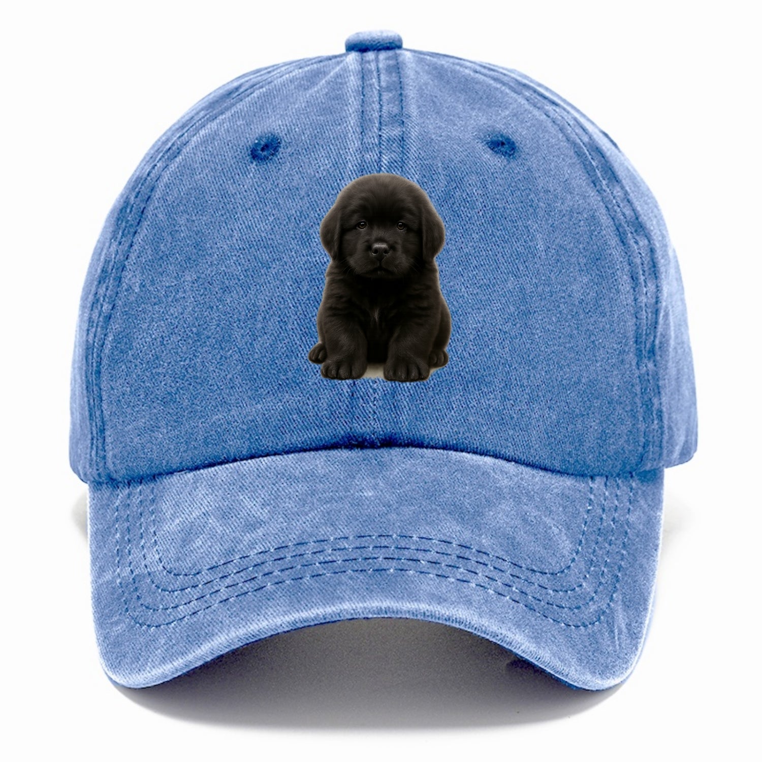 Baby Newfoundland Puppy - giant fluffy black, gentle eyes, webbed paws, front-facing, - Classic Cap - Summer Sky(Blue)