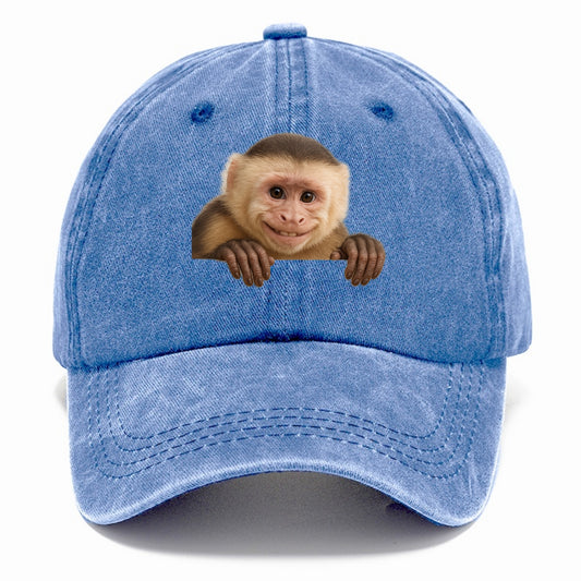 Capuchin Monkey  - Classic Cap - Summer Sky(Blue)