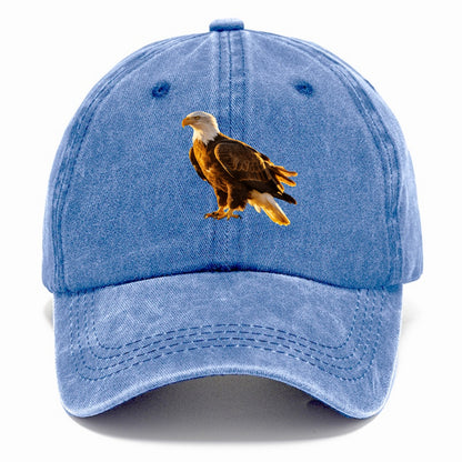 Eagle - Classic Cap - Summer Sky(Blue)