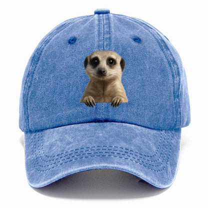 Meerkat  - Classic Cap - Summer Sky(Blue)