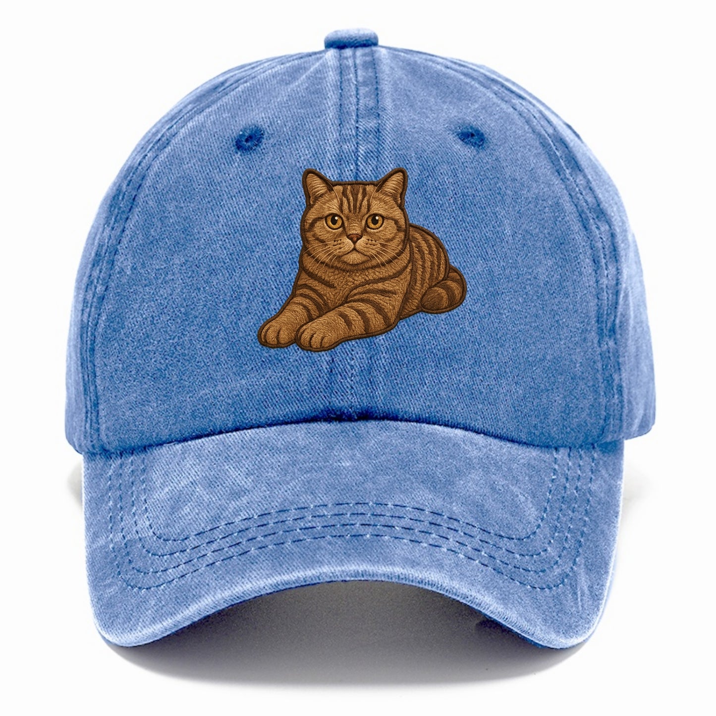 British Shorthair  relaxed lying down wi Classic Cap - Summer Sky(Blue)