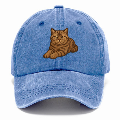 British Shorthair  relaxed lying down wi Classic Cap - Summer Sky(Blue)