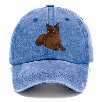 Burmese  relaxed lying down with head up Classic Cap - Summer Sky(Blue)