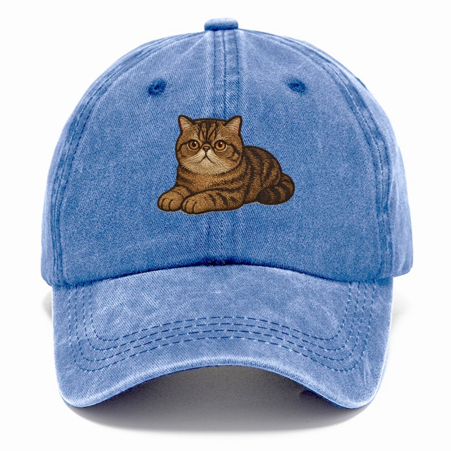 Exotic Shorthair  relaxed lying down wit Classic Cap - Summer Sky(Blue)