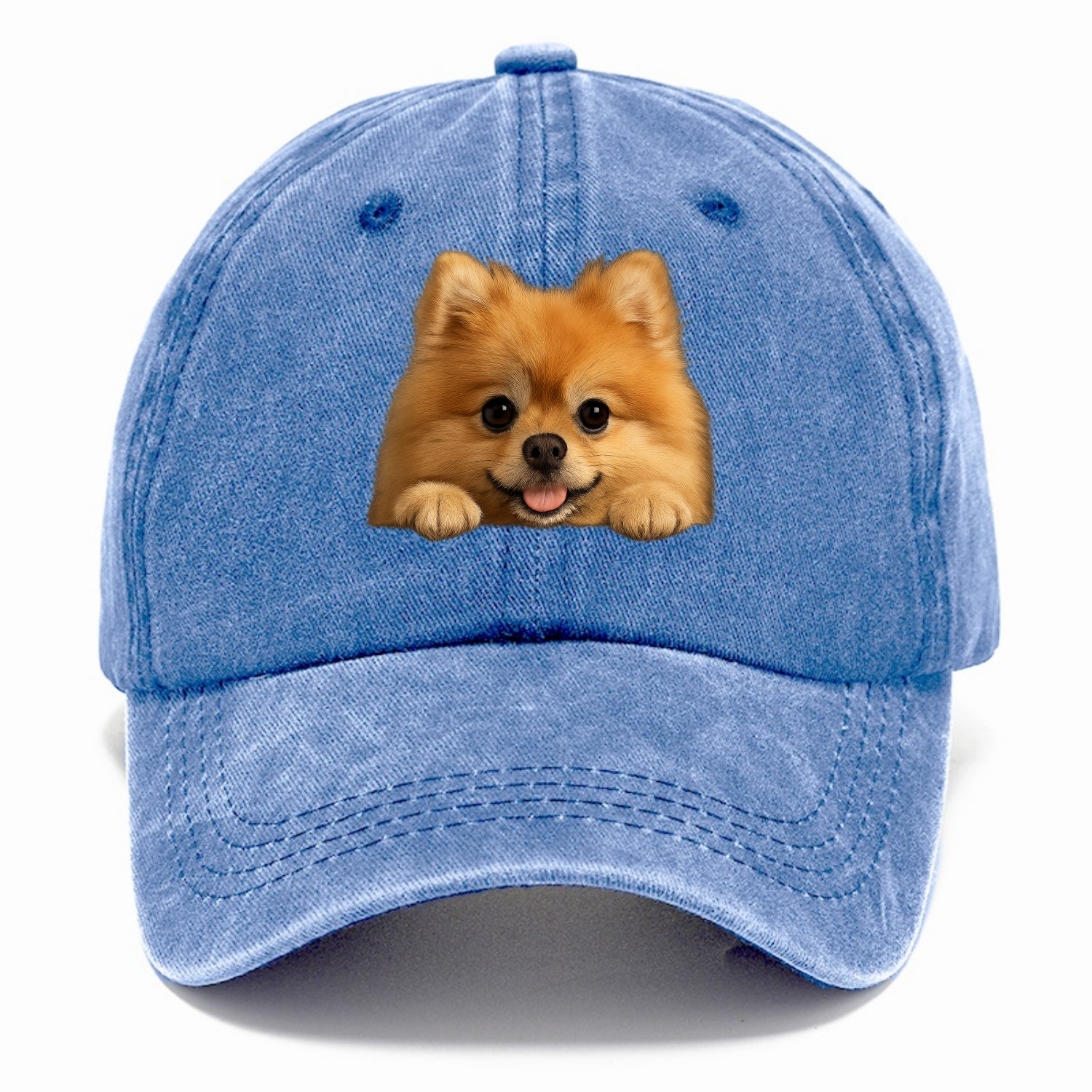 Pomeranian  - Classic Cap - Summer Sky(Blue)