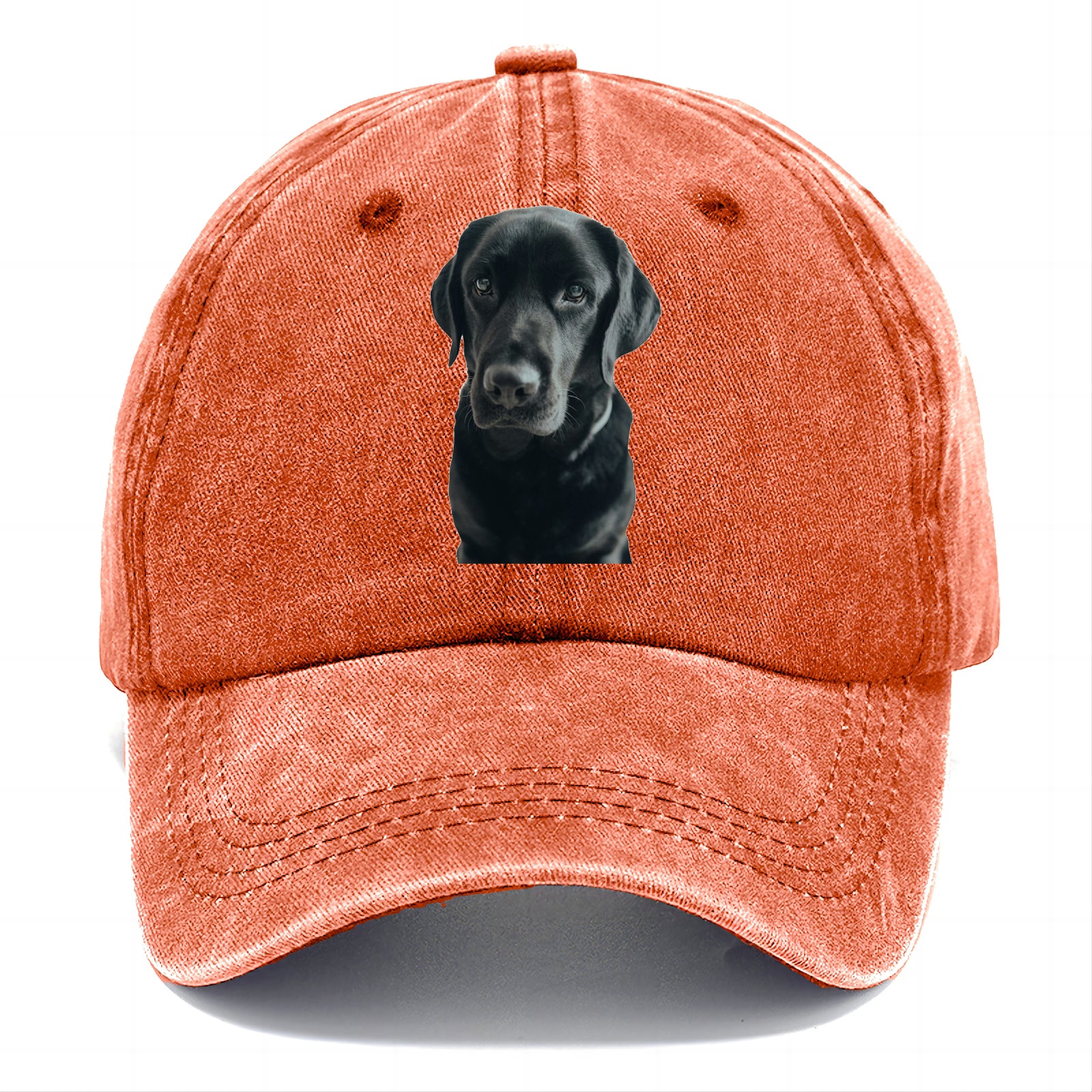 Black Labrador Classic Cap – Pandaize