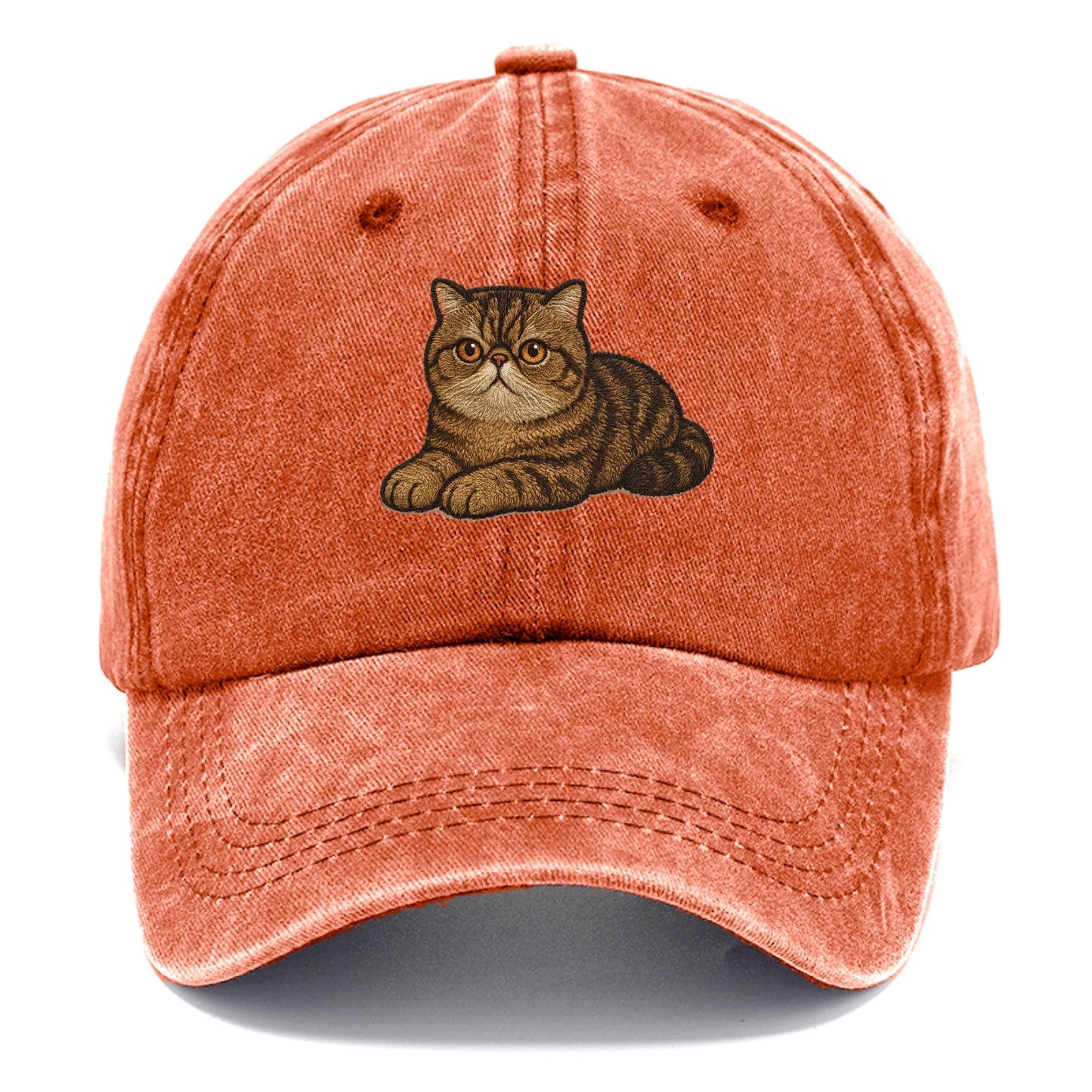 Exotic Shorthair  relaxed lying down wit Classic Cap - Terracotta Clay(Orange)