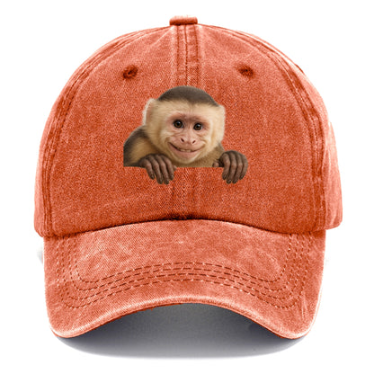 Capuchin Monkey  - Classic Cap - Terracotta Clay(Orange)