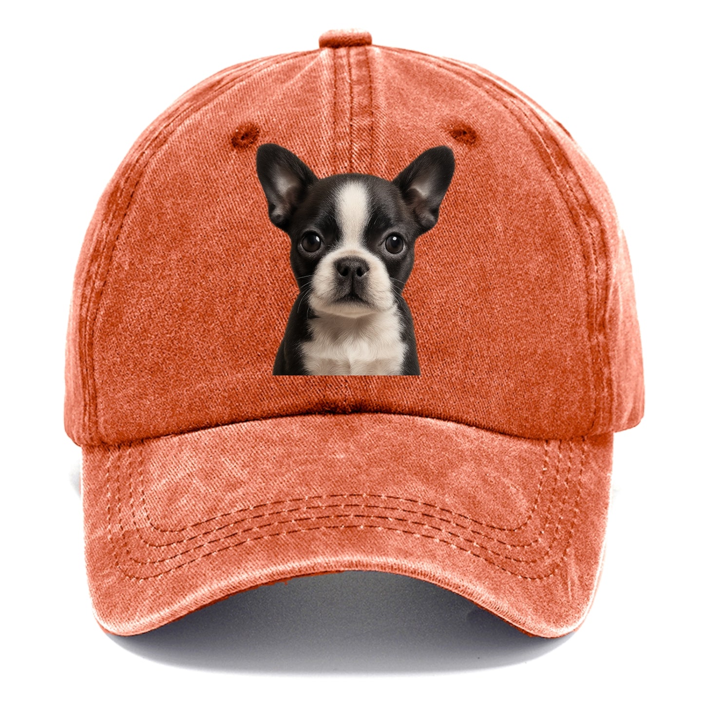 Baby Boston Terrier Puppy - tuxedo markings, big round eyes, bat ears, front-facing, - Classic Cap - Terracotta Clay(Orange)
