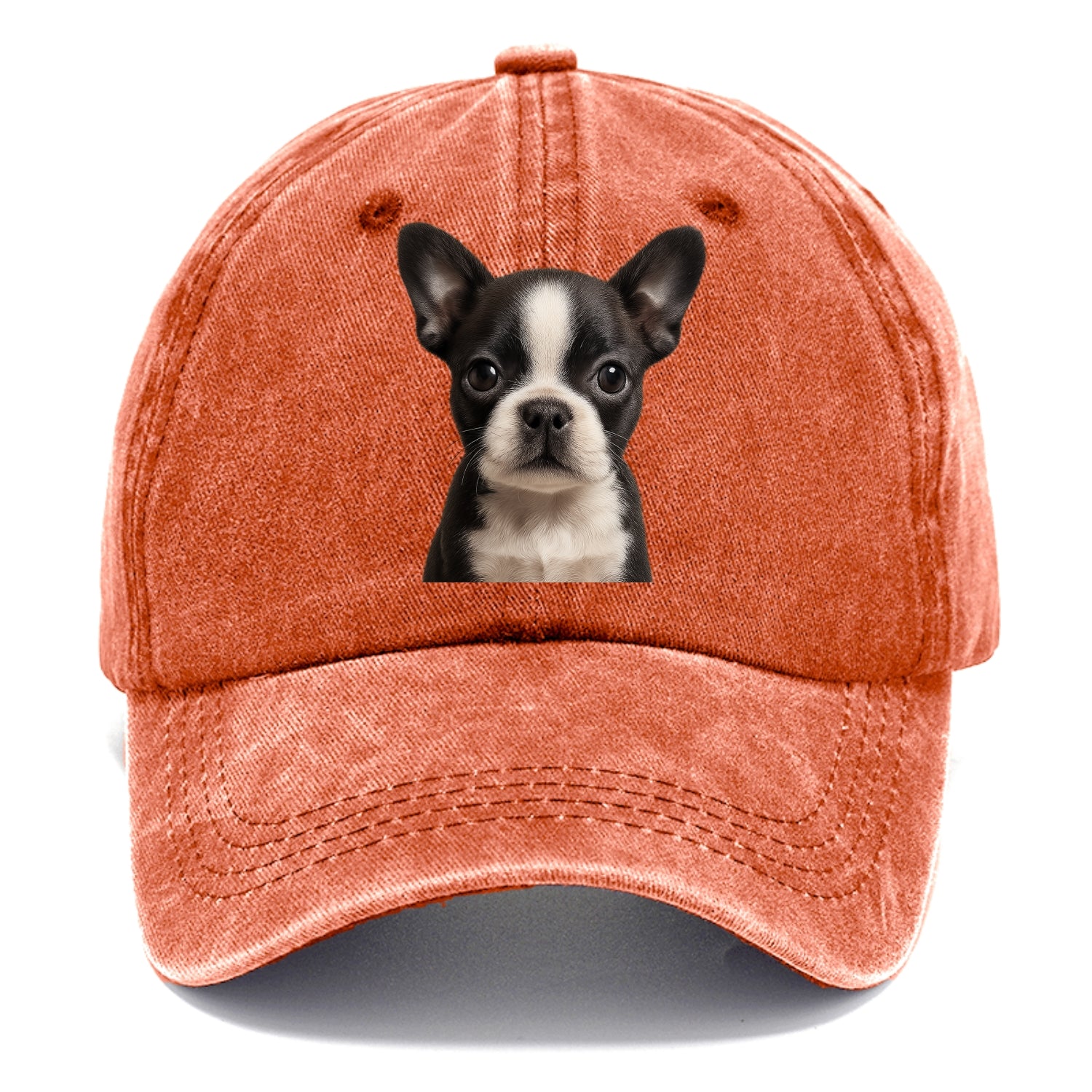 Baby Boston Terrier Puppy - tuxedo markings, big round eyes, bat ears, front-facing, - Classic Cap - Terracotta Clay(Orange)