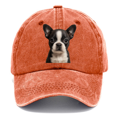 Baby Boston Terrier Puppy - tuxedo markings, big round eyes, bat ears, front-facing, - Classic Cap - Terracotta Clay(Orange)