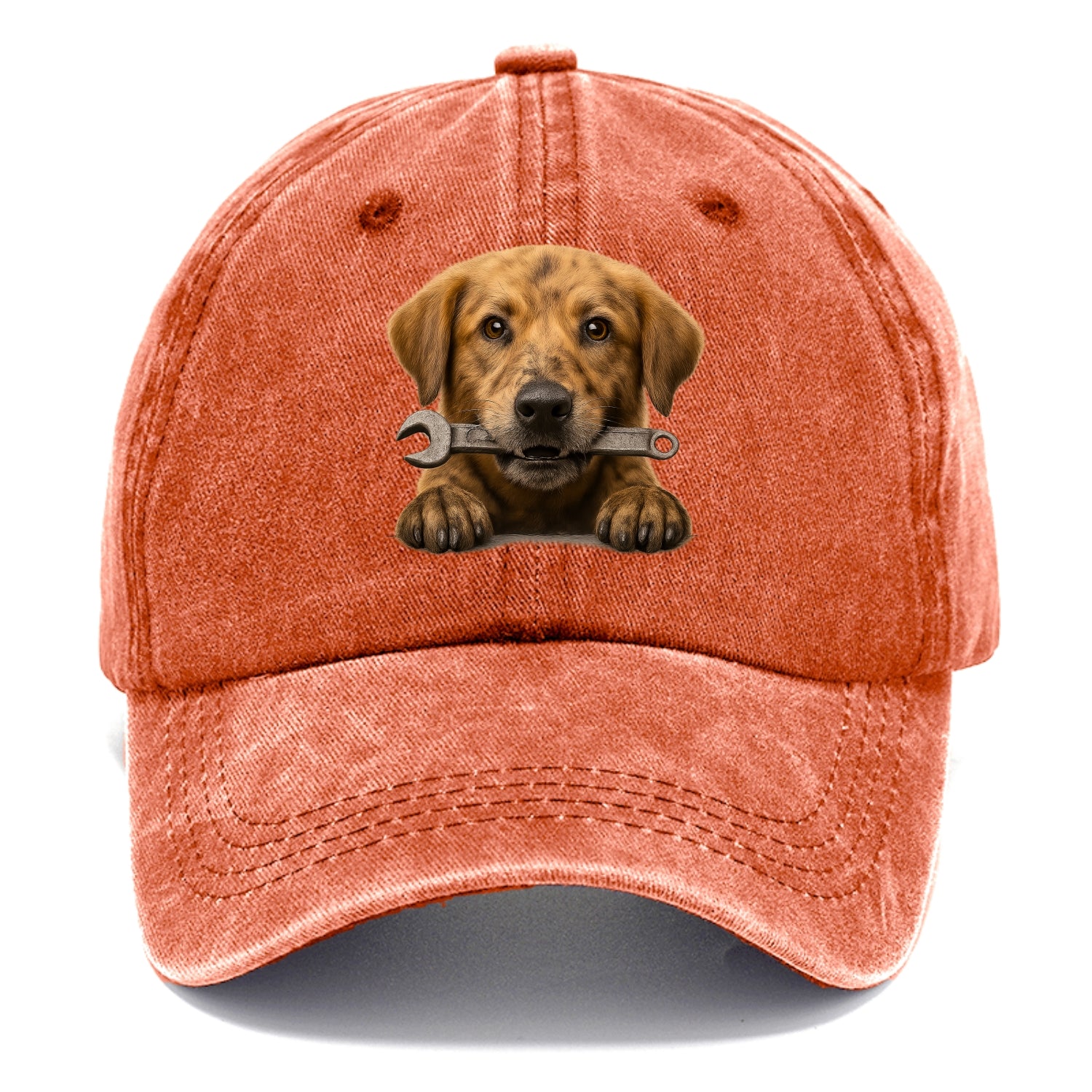 Mechanic Dog  - Classic Cap - Terracotta Clay(Orange)