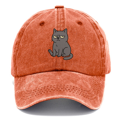 The Cat Judging Silently - Classic Cap - Terracotta Clay(Orange)
