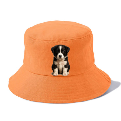 Baby Border Collie Puppy - black and white, intense smart eyes, athletic build, - Bucket Hat - Terracotta Clay(Orange)