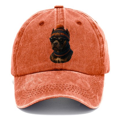 Chicago Pitbull wearing Bears beanie with skyline patch and wayfarer sunglasses - Classic Cap - Terracotta Clay(Orange)