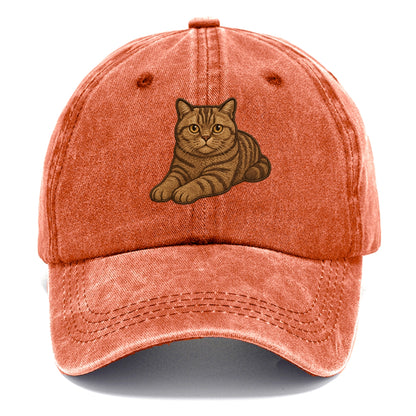 British Shorthair  relaxed lying down wi Classic Cap - Terracotta Clay(Orange)
