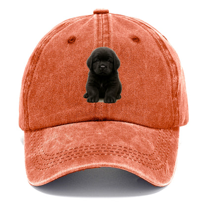 Baby Newfoundland Puppy - giant fluffy black, gentle eyes, webbed paws, front-facing, - Classic Cap - Terracotta Clay(Orange)