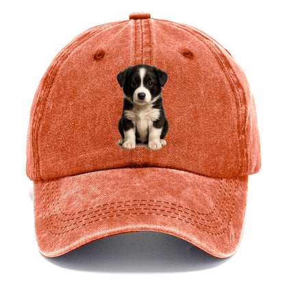 Baby Border Collie Puppy - black and white, intense smart eyes, athletic build, - Classic Cap - Terracotta Clay(Orange)