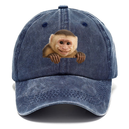 Capuchin Monkey  - Classic Cap - Twilight Navy(Blue)