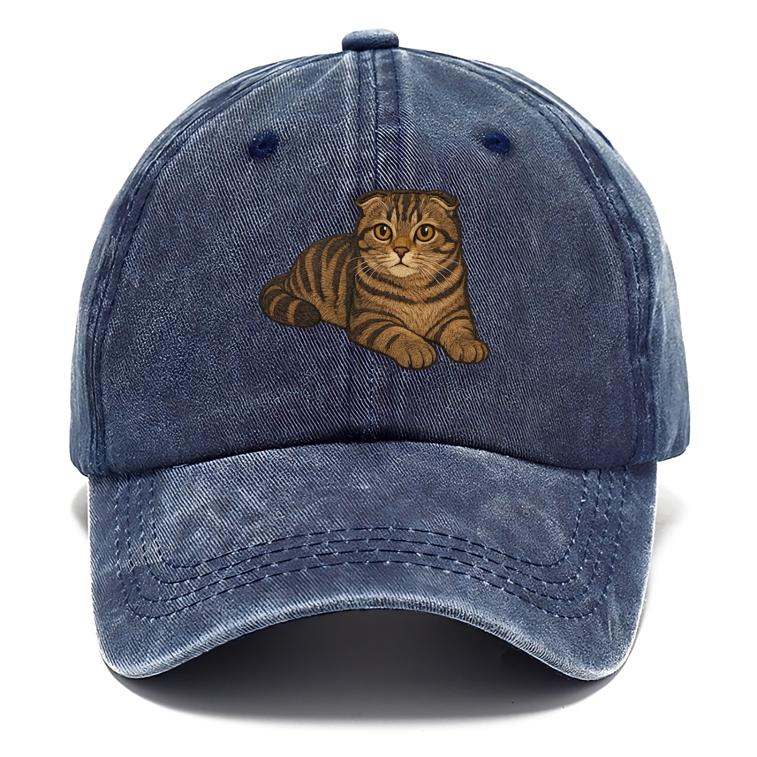Scottish Fold  relaxed lying down with h Classic Cap - Twilight Navy(Blue)