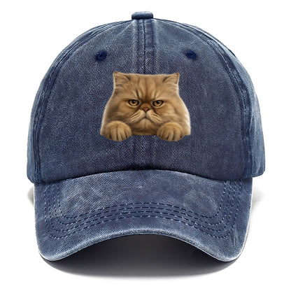 Persian Cat  - Classic Cap - Twilight Navy(Blue)